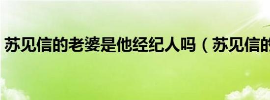 苏见信的老婆是他经纪人吗（苏见信的老婆）