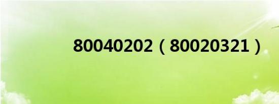 80040202（80020321）