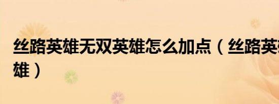 丝路英雄无双英雄怎么加点（丝路英雄无双英雄）