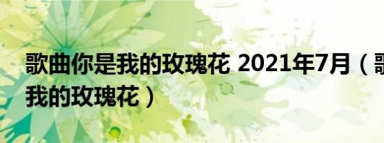 歌曲你是我的玫瑰花 2021年7月（歌曲你是我的玫瑰花）