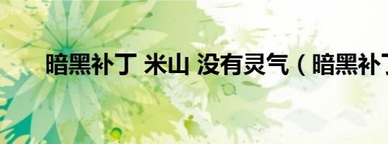 暗黑补丁 米山 没有灵气（暗黑补丁）