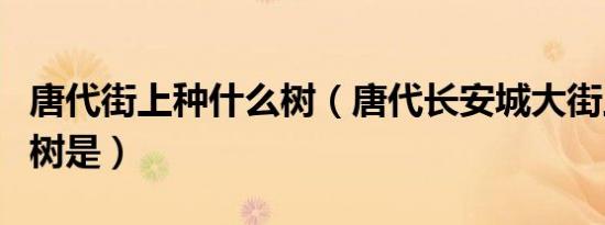 唐代街上种什么树（唐代长安城大街上种植的树是）