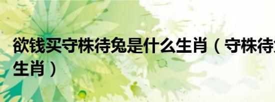 欲钱买守株待兔是什么生肖（守株待兔是什么生肖）