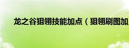 龙之谷狙翎技能加点（狙翎刷图加点）