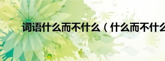 词语什么而不什么（什么而不什么）