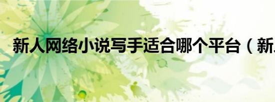 新人网络小说写手适合哪个平台（新人网）