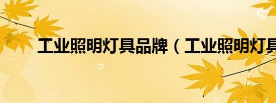 工业照明灯具品牌（工业照明灯具）