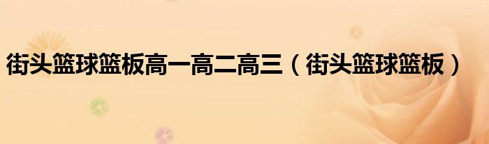 街头篮球篮板高一高二高三（街头篮球篮板）