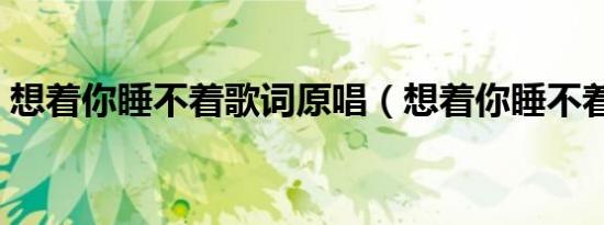想着你睡不着歌词原唱（想着你睡不着歌词）
