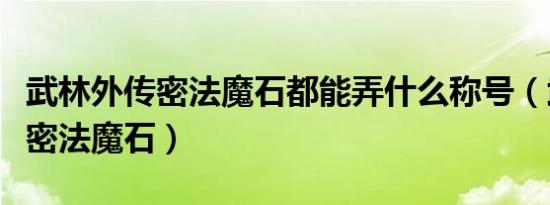 武林外传密法魔石都能弄什么称号（武林外传密法魔石）