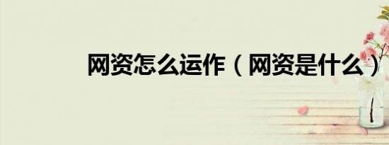 网资怎么运作（网资是什么）
