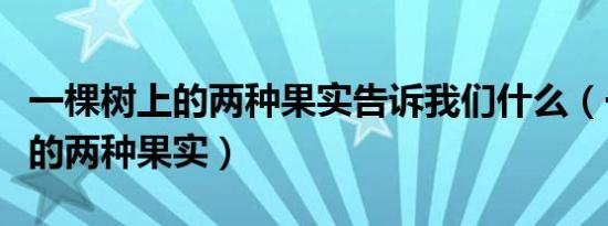一棵树上的两种果实告诉我们什么（一棵树上的两种果实）