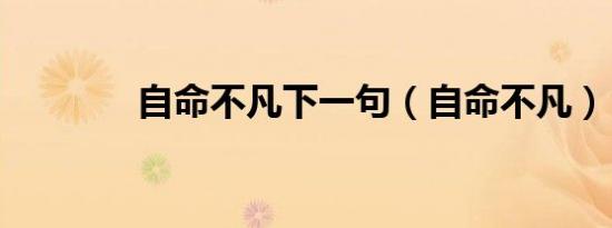 自命不凡下一句（自命不凡）