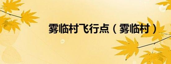 雾临村飞行点（雾临村）