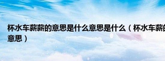 杯水车薪薪的意思是什么意思是什么（杯水车薪的薪是什么意思）