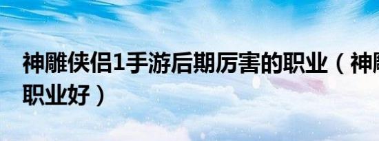神雕侠侣1手游后期厉害的职业（神雕ol什么职业好）