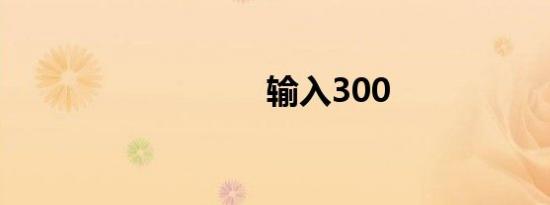 输入300