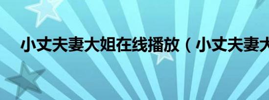 小丈夫妻大姐在线播放（小丈夫妻大姐）