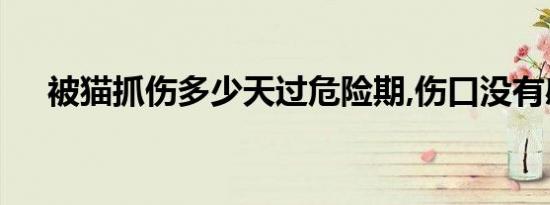 被猫抓伤多少天过危险期,伤口没有感染