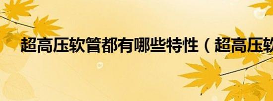 超高压软管都有哪些特性（超高压软管）