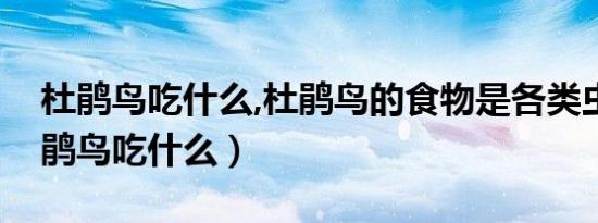 杜鹃鸟吃什么,杜鹃鸟的食物是各类虫子（杜鹃鸟吃什么）