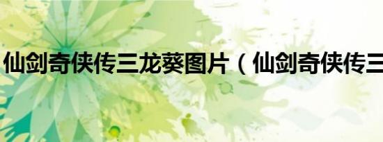 仙剑奇侠传三龙葵图片（仙剑奇侠传三 龙葵）