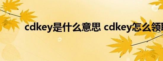 cdkey是什么意思 cdkey怎么领取