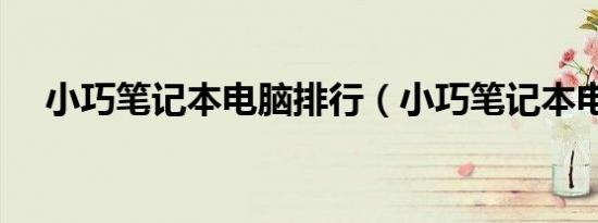 小巧笔记本电脑排行（小巧笔记本电脑）