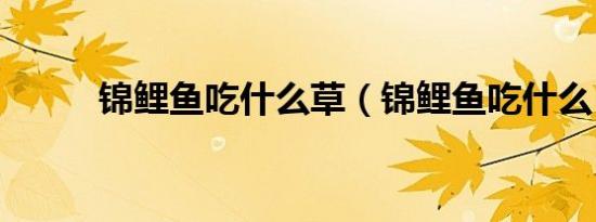 锦鲤鱼吃什么草（锦鲤鱼吃什么）