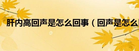 肝内高回声是怎么回事（回声是怎么回事）