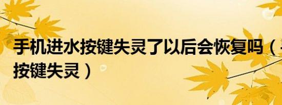 手机进水按键失灵了以后会恢复吗（手机进水按键失灵）