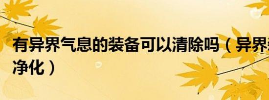 有异界气息的装备可以清除吗（异界装备怎么净化）