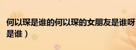 何以琛是谁的何以琛的女朋友是谁呀（何以琛是谁）