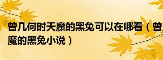 曾几何时天魔的黑兔可以在哪看（曾几何时天魔的黑兔小说）