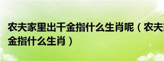 农夫家里出千金指什么生肖呢（农夫家里出千金指什么生肖）