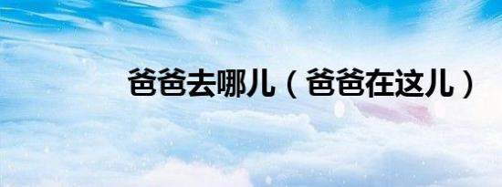 爸爸去哪儿（爸爸在这儿）