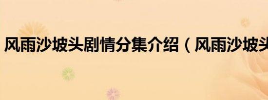 风雨沙坡头剧情分集介绍（风雨沙坡头剧情）