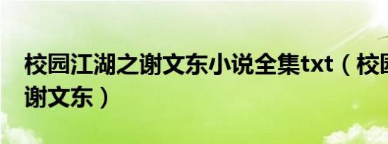 校园江湖之谢文东小说全集txt（校园江湖之谢文东）