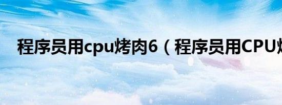程序员用cpu烤肉6（程序员用CPU烤肉）