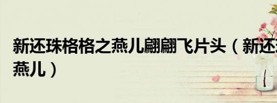 新还珠格格之燕儿翩翩飞片头（新还珠格格之燕儿）