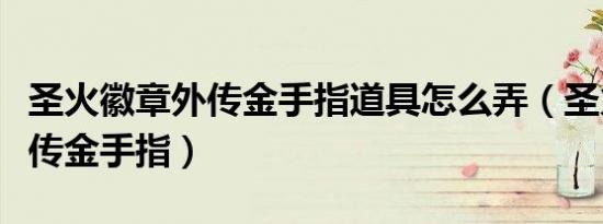 圣火徽章外传金手指道具怎么弄（圣火徽章外传金手指）