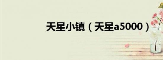 天星小镇（天星a5000）