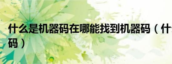 什么是机器码在哪能找到机器码（什么是机器码）