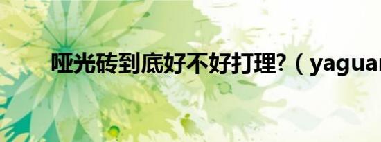哑光砖到底好不好打理?（yaguan）