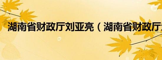 湖南省财政厅刘亚亮（湖南省财政厅地址）