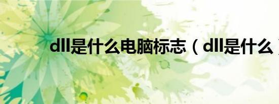 dll是什么电脑标志（dll是什么）