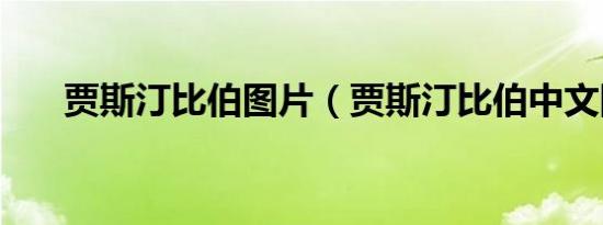 贾斯汀比伯图片（贾斯汀比伯中文网）
