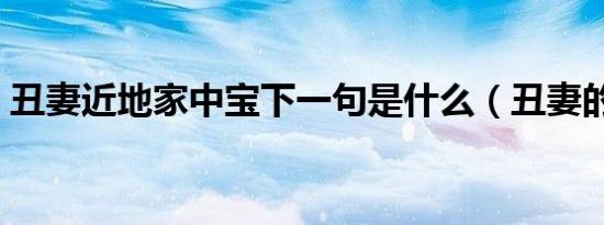 丑妻近地家中宝下一句是什么（丑妻的外遇）