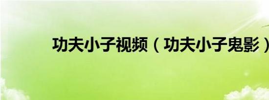 功夫小子视频（功夫小子鬼影）