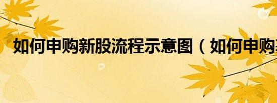 如何申购新股流程示意图（如何申购基金）